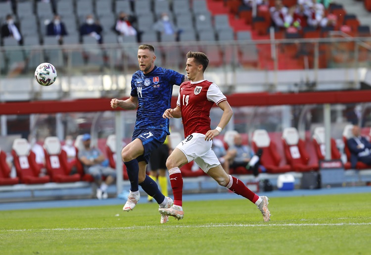 欧洲杯斯洛伐克的粉丝正在为他们打气